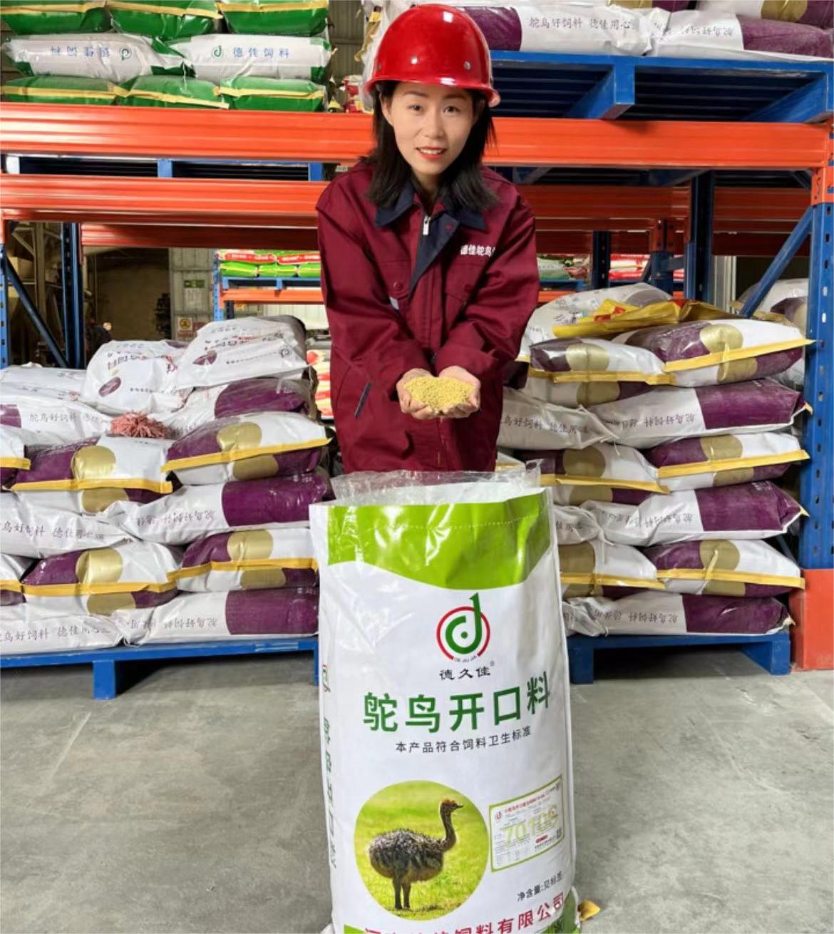 創(chuàng)新領(lǐng)先的河南德佳7010S飼料，讓您的小鴕鳥健康成長無憂慮！